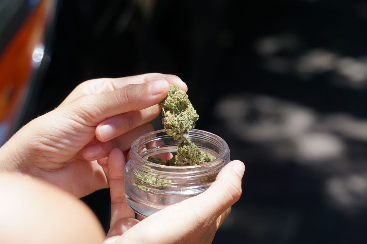 Close-up of hands holding cannabis buds in a glass jar outside in daylight.